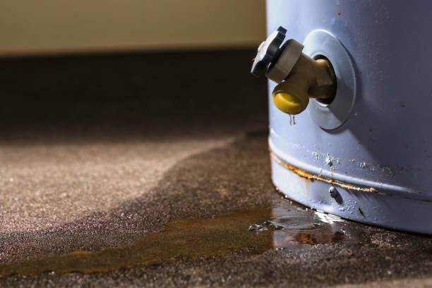 Water damage restoration experts in OH