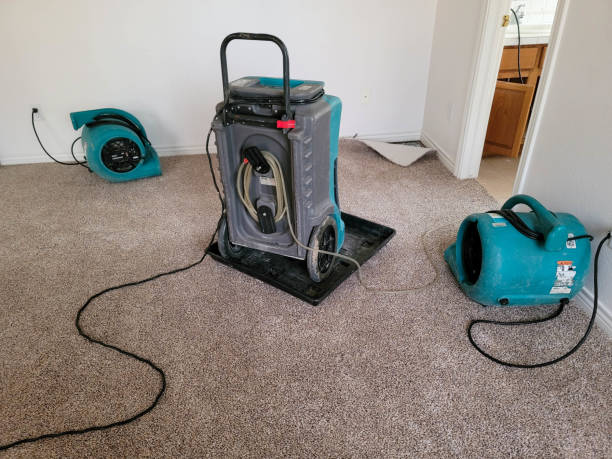 Best 24/7 water damage repair  in Shreve, OH