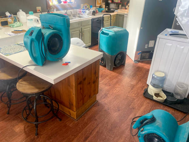 Best Local water damage restoration  in Shreve, OH