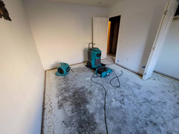 Best Carpet water damage restoration  in Shreve, OH