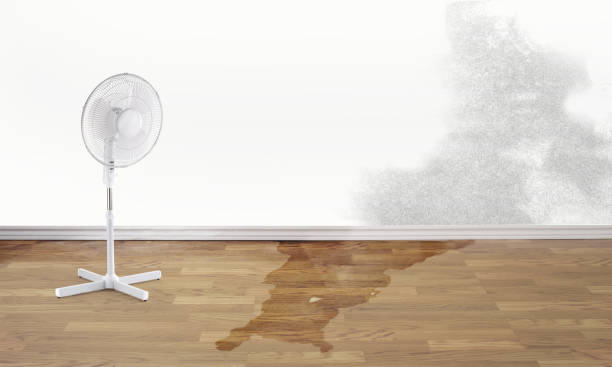 Best 24-hour water damage restoration  in Shreve, OH