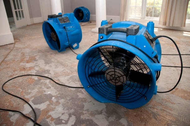 Best Sewage cleanup and water damage restoration  in Shreve, OH