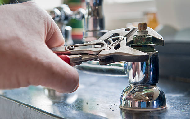 Best Professional water damage repair  in Shreve, OH