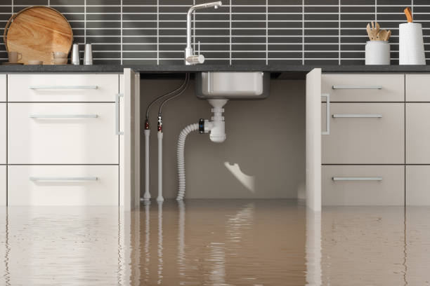 Best Mold removal after water damage  in Shreve, OH