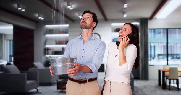Best Water damage restoration company  in Shreve, OH