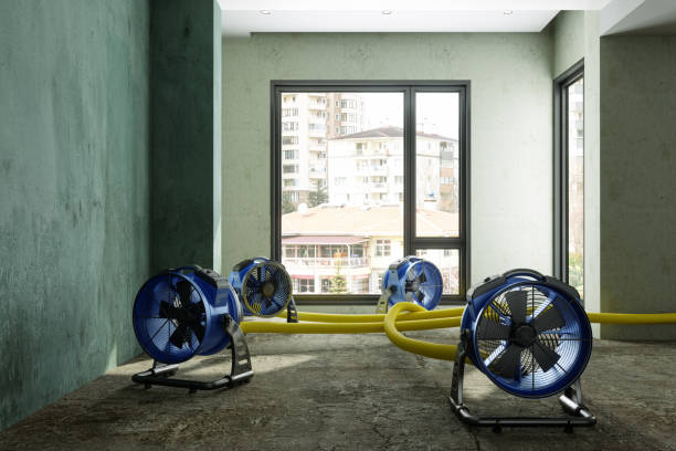 Best Ceiling water damage repair  in Shreve, OH
