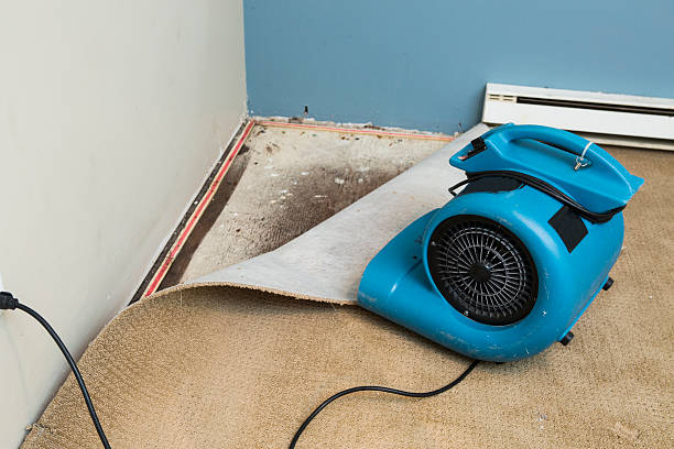 Best Flood restoration services  in Shreve, OH